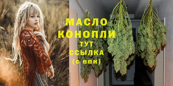 шишки Заволжье