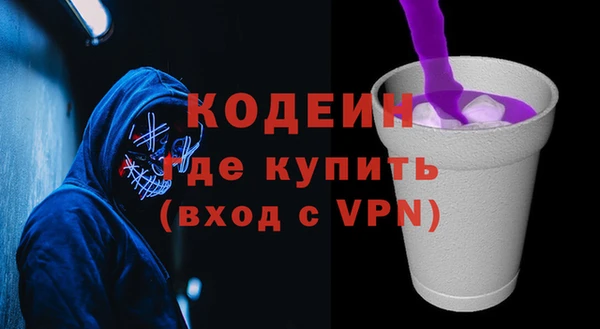 шишки Заволжье