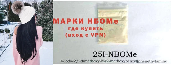 шишки Заволжье