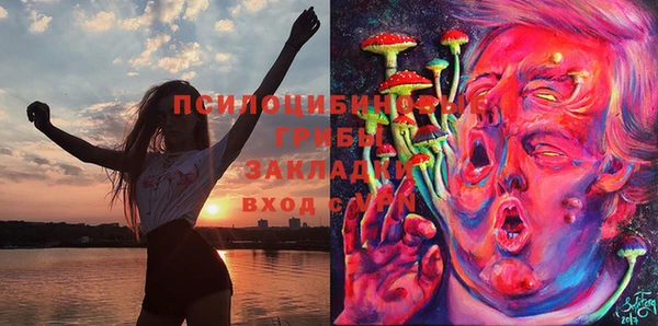 тгк Заводоуковск