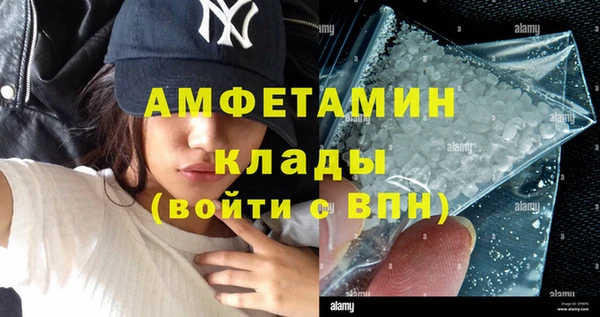 шишки Заволжье