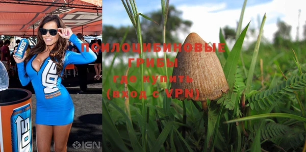 ALPHA PVP Заволжск