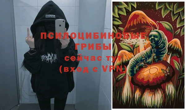 ALPHA PVP Заволжск