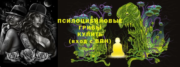 шишки Заволжье
