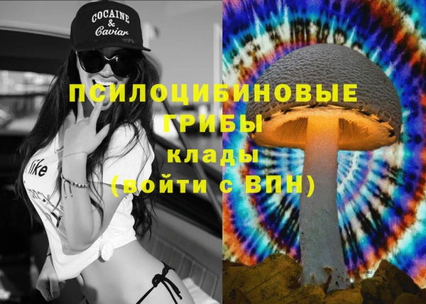шишки Заволжье
