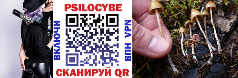 Купить  Пучеж  Галлюциногенные грибы GOLDEN TEACHER 